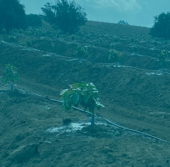 Monitoreo y control de pozos Agrícola El Roble