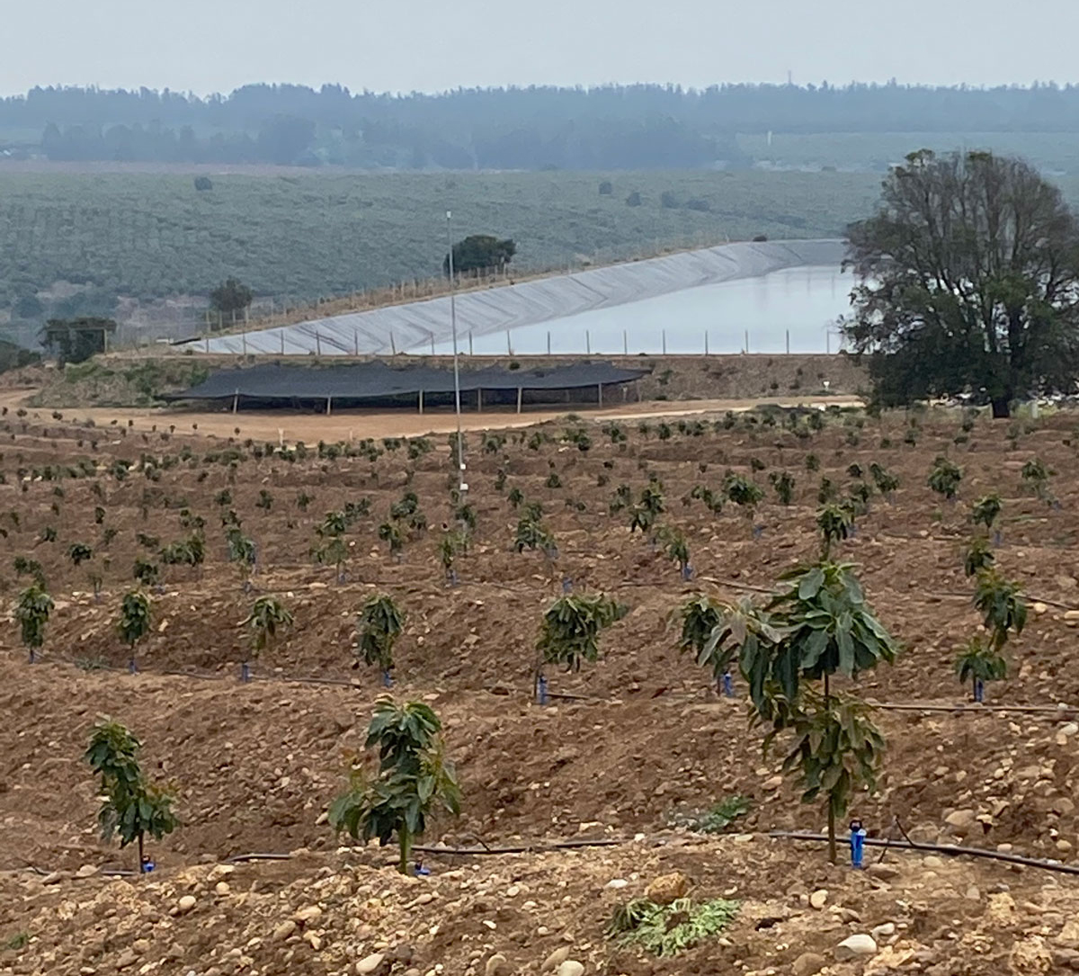 Control de riego Agrícola Orbe