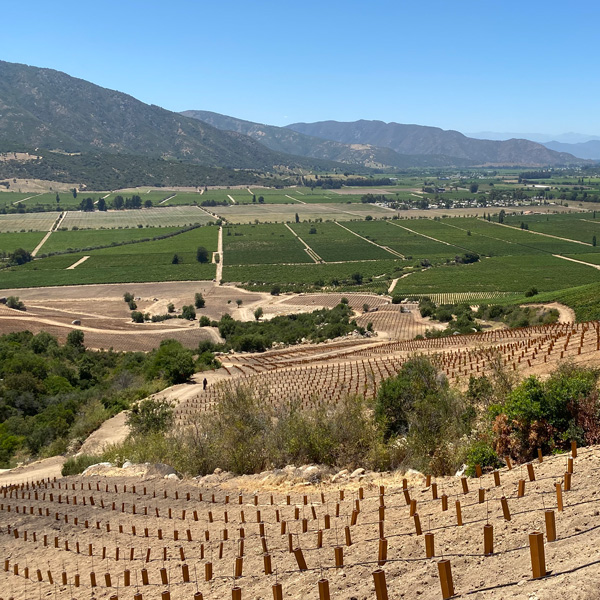 Sistema de riego localizado para Viña Clos Apalta